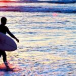 Surfboard Shapes and Designs Explained For Beginners